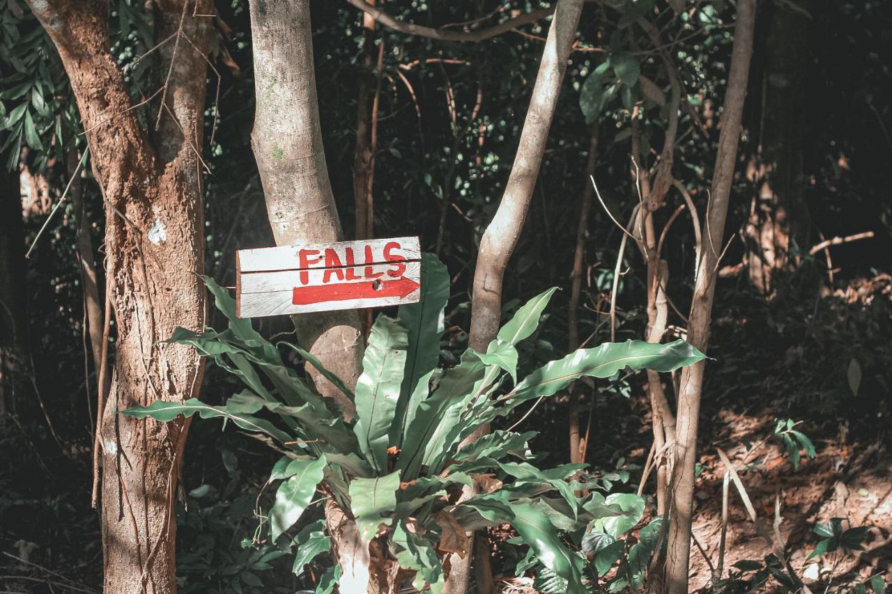 فندق La Vie Adventure Trails Salabusob المظهر الخارجي الصورة